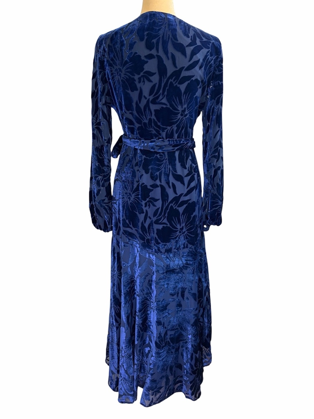 Anthropologie Hutch Daniella Velvet Maxi Dress Small - Picture 3 of 10